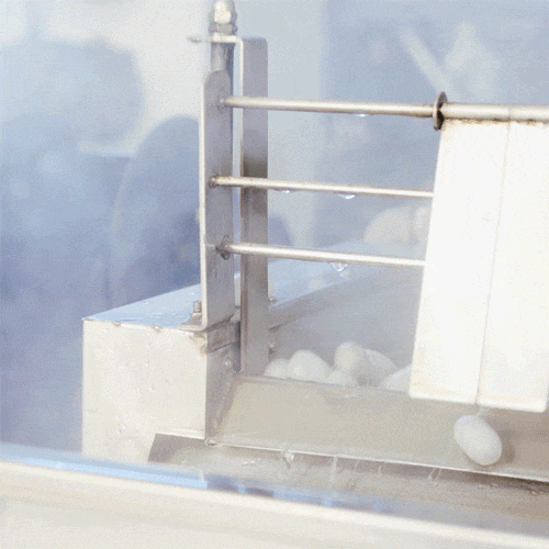 Elegant Mid-Sleeve Dress